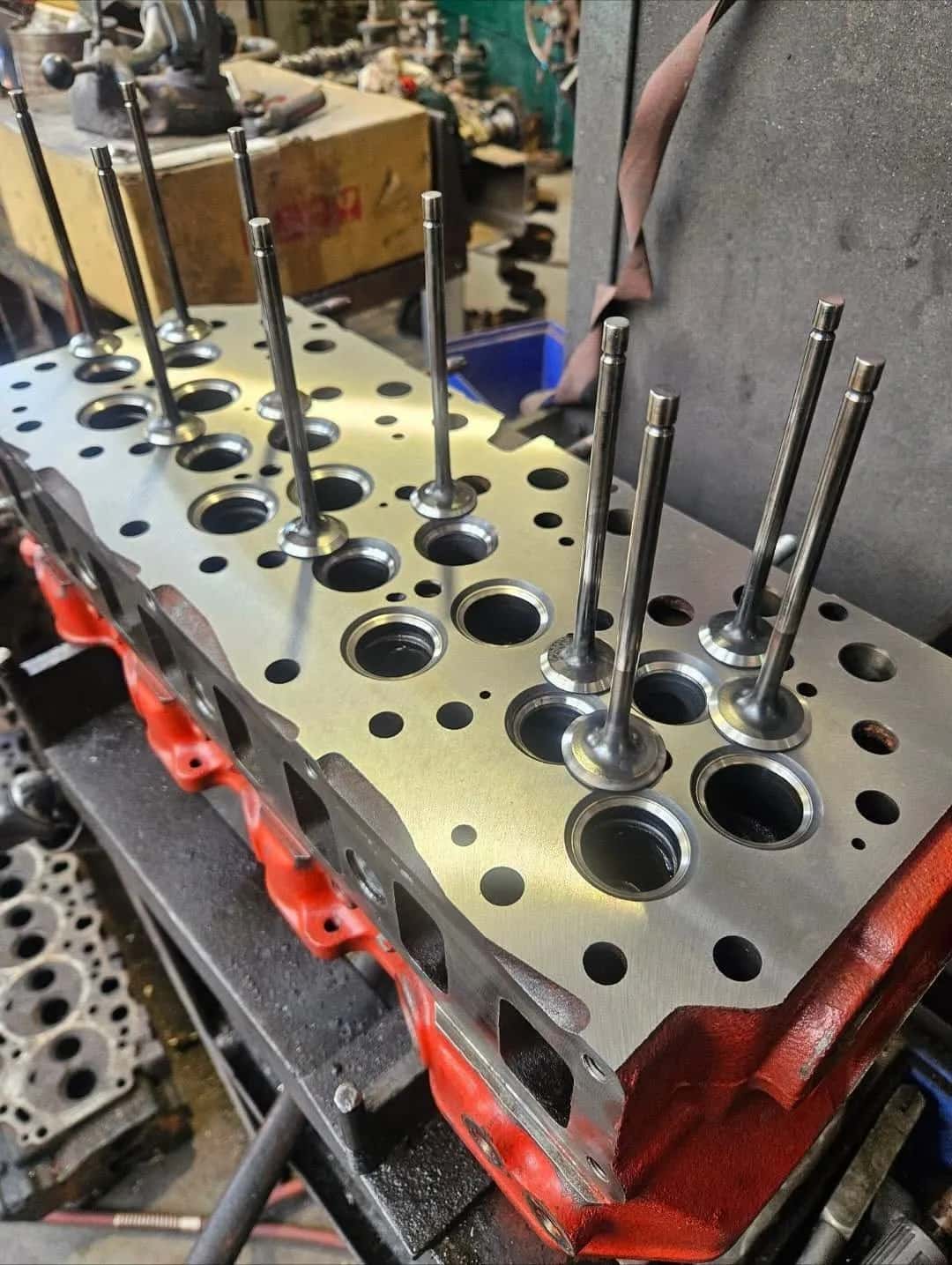A cylinder head on a workshop bench with the valves standing up out of their ports.